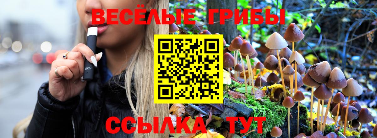 Галлюциногенные грибы ЛСД  Вход с VPN  где найти   Чапаевск 